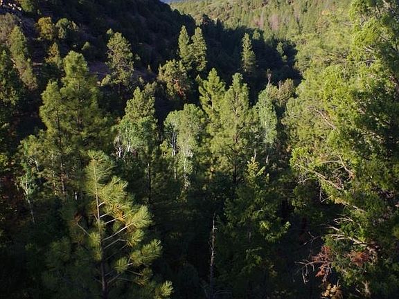 3rd image of LOT 6 Big Canyon Point