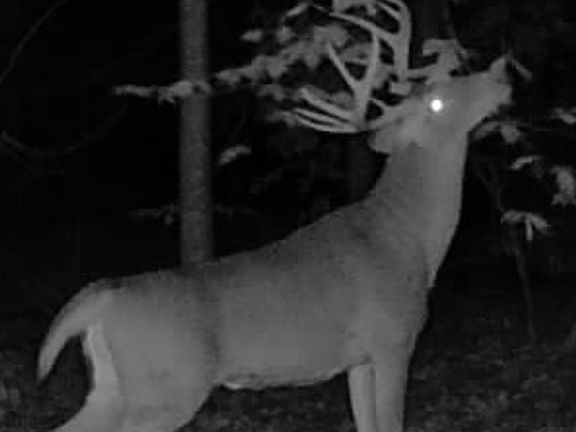 2nd image of 1 N Newark Rd