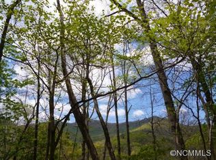 9 Turtle Creek Rd, Sylva, NC 28779