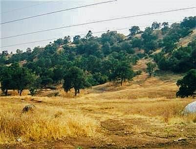 1st image of 303  Deerbrook Lane