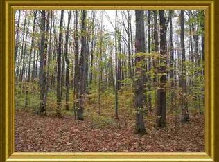 0 Root Trl, Frederic, MI 49733