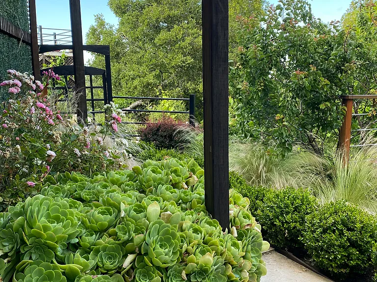 Crestview Ter — Photo 10