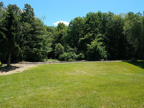 Barre Town Forest out back