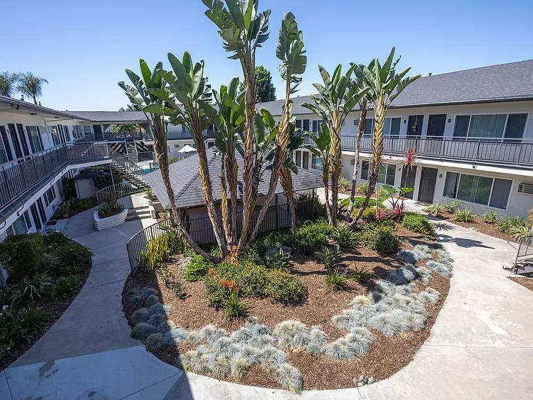 Royal Palms — Photo 1