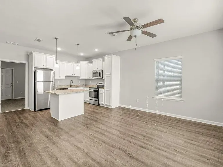 Living room and kitchen