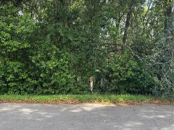 SE 135th Ln Lot 19, Summerfield, FL 34491