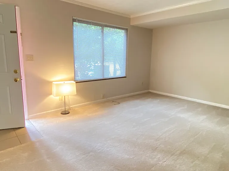 118 Greenwood Pl #D — Photo 10