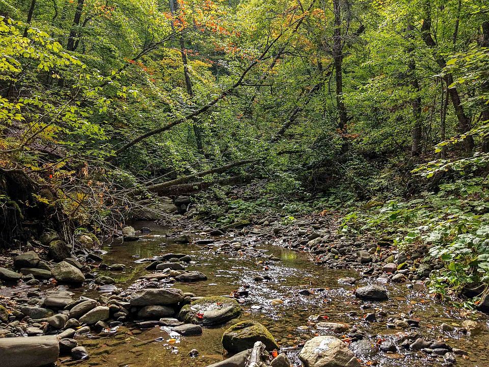 1st image of 1930 Stone Chimney Road
