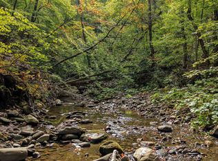 1930 Stone Chimney Rd, Reading, VT 05062