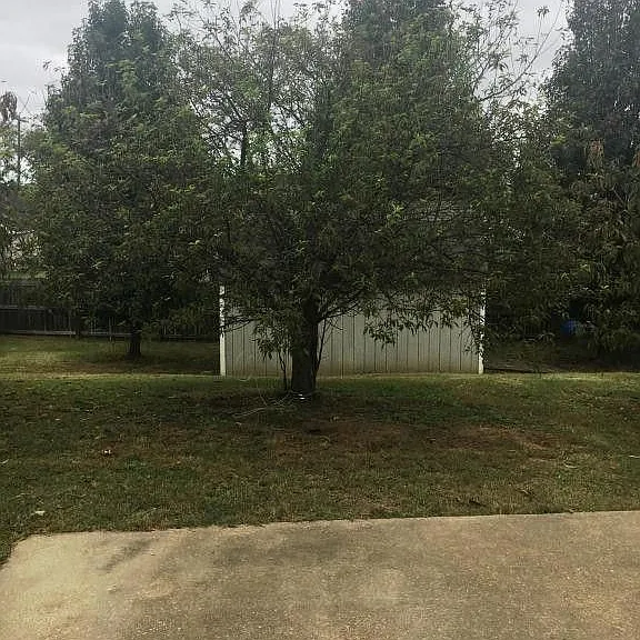1767 Ranch Rd — Photo 19