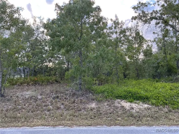 21 Smilax Ct N, Homosassa, FL 34446