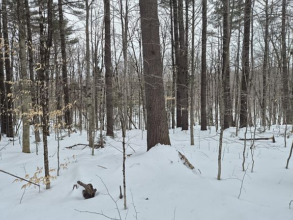 2nd image of R06 L75-76 Staples Pond Road