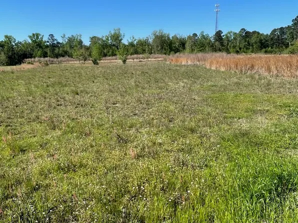 730 Peurifoy Rd, Walterboro, SC 29488