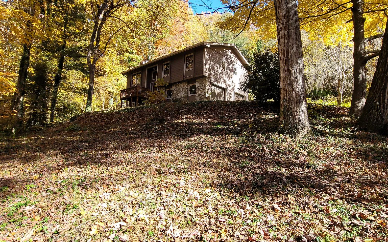 4 bed, 1600 sqft, $2,500 — Photo 4