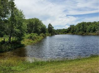 0 Dove Ln, Hempstead, TX 77445
