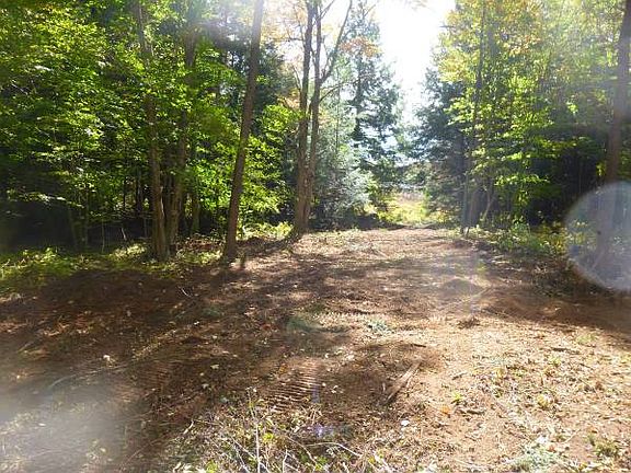 5th image of Blueberry Mountain Lane