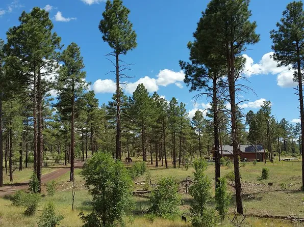 854 Pine Meadow Ln, Show Low, AZ 85901