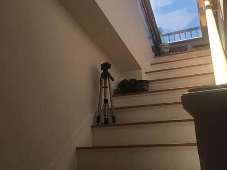 9 Highland Park Ave #2 — Photo 14