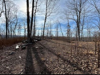 0 County Road 846, Bunker, MO, 63629