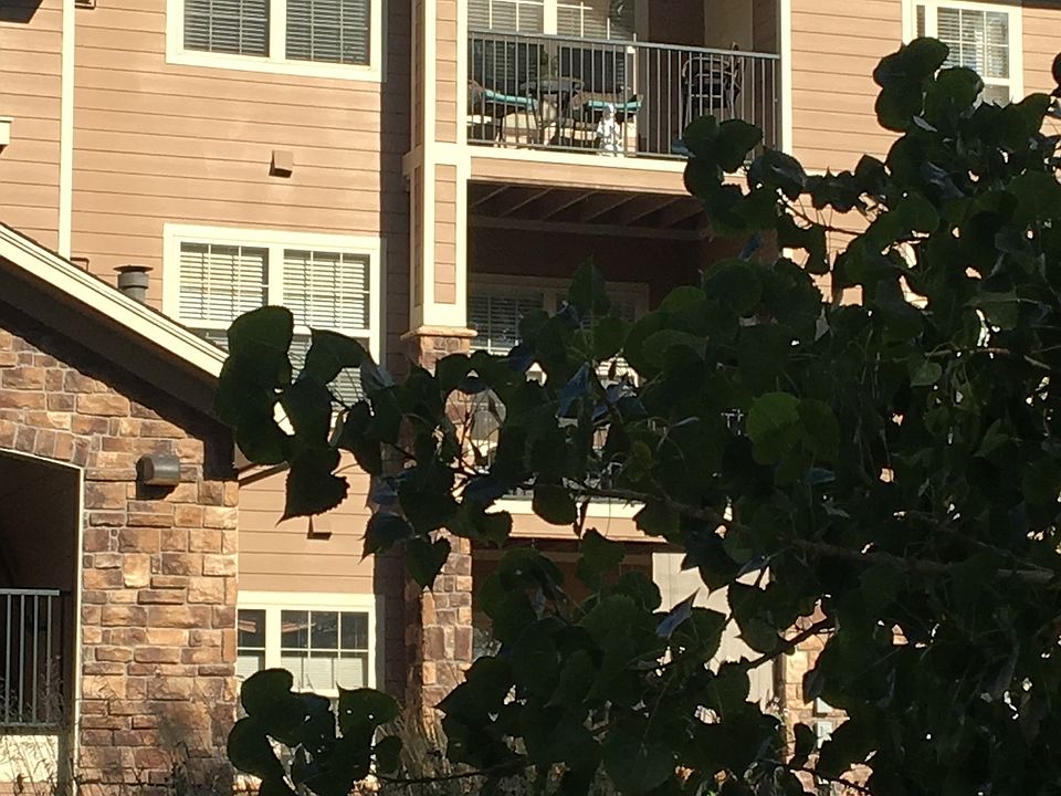 3rd Floor w/ Vaulted Ceiling