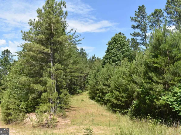 0 Nicklesville Rd NE, Ranger, GA 30734