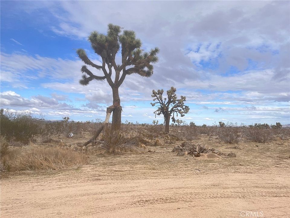 1st image of 0 Dos Palmas Rd