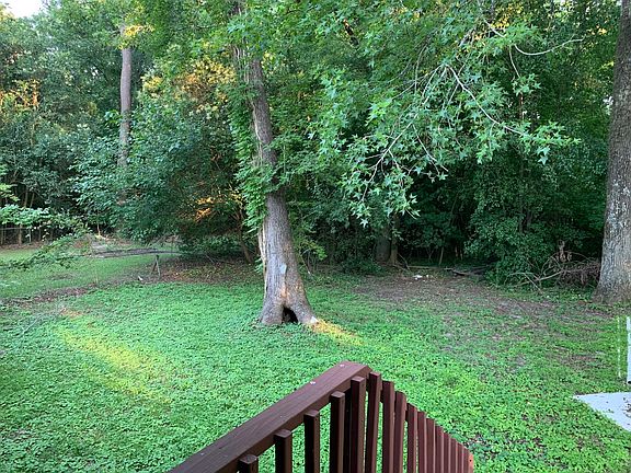 big backyard