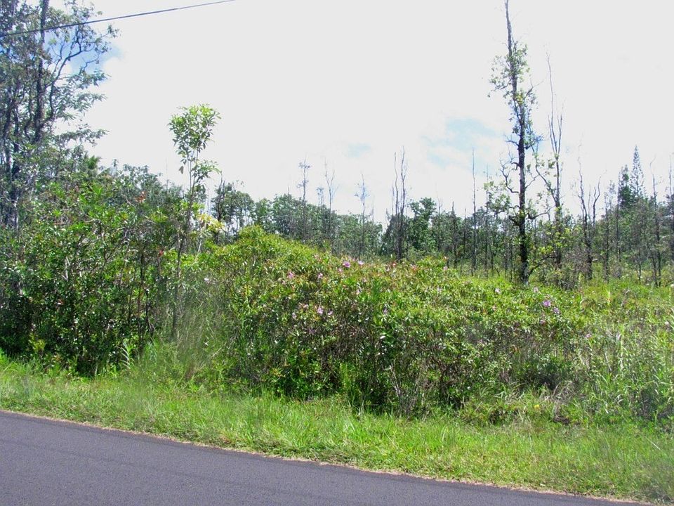2nd image of Laniuma St Lot 2