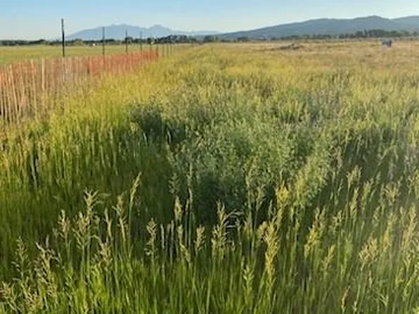 21814 County Road J.8, San Luis, CO 81152