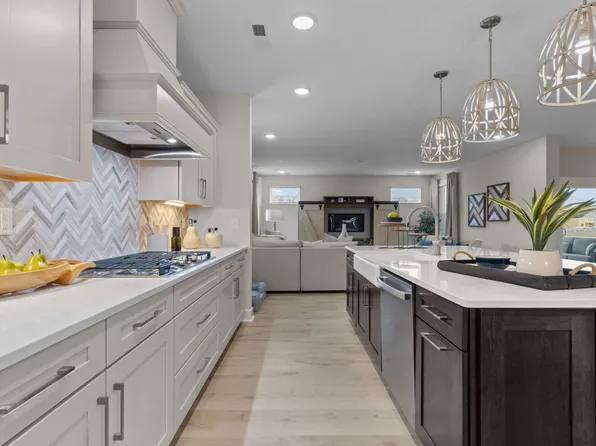 The Mangrove Plan, Waterbridge