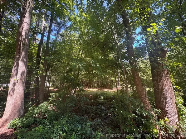 0 Center Church Rd, Sanford, NC 27330