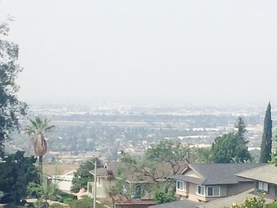 What you see from your home