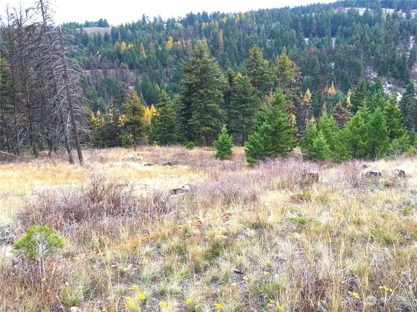 0 Lot 132 Slippery Hill Road, Republic, WA 99166