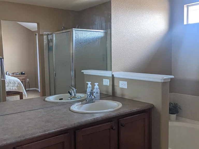 Primary Suite Bathroom Vanity