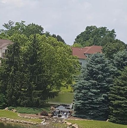 3rd image of 7362 Chestnut Hills Blvd