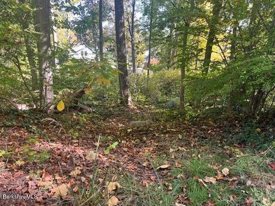 0 Lake Ave, Great Barrington, MA, 01230