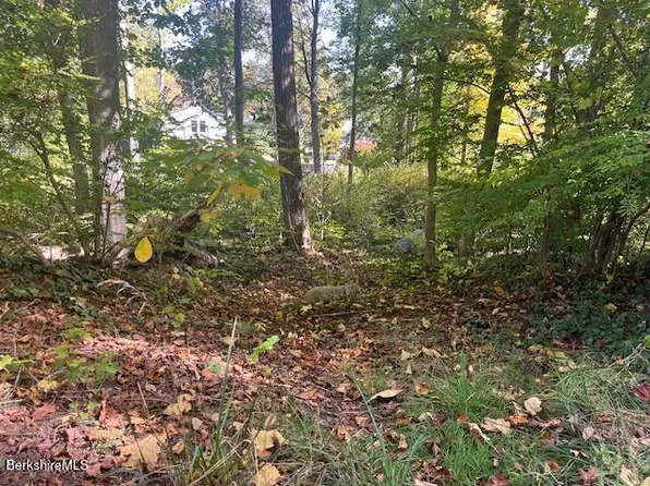 0 Lake Ave, Great Barrington, MA 01230