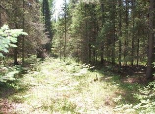 Twin Lakes Loop #45, Aurora, MN 55705