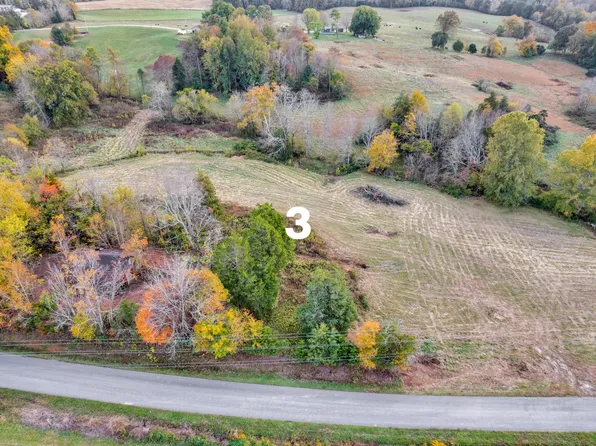 4200 Will Thompson Rd Lot 3, Walling, TN 38587