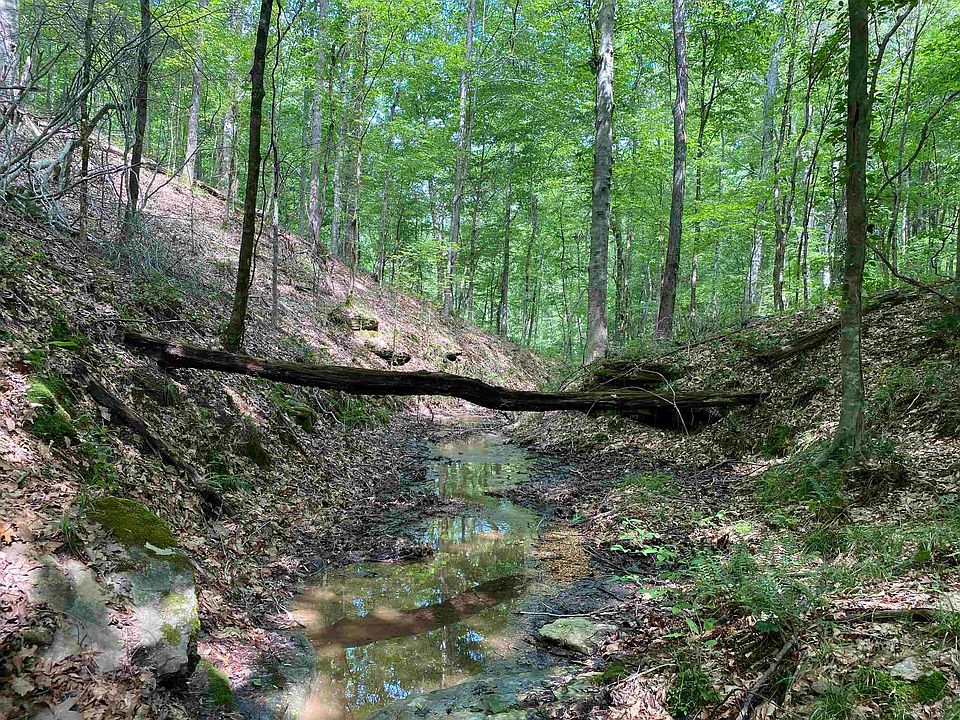 7th image of this home