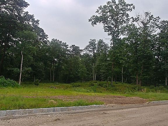 WOODED LOT 1 ACRE PLUS 98.25