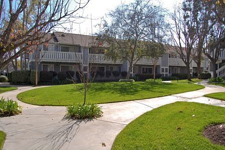 Lush Landscaping