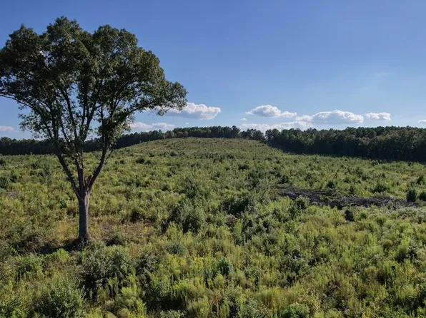 497 County Road 2922, Hughes Springs, TX 75656