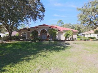 15825 Dawson Ridge Dr, Tampa, FL 33647