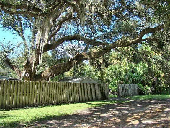 Side View of Back Yard