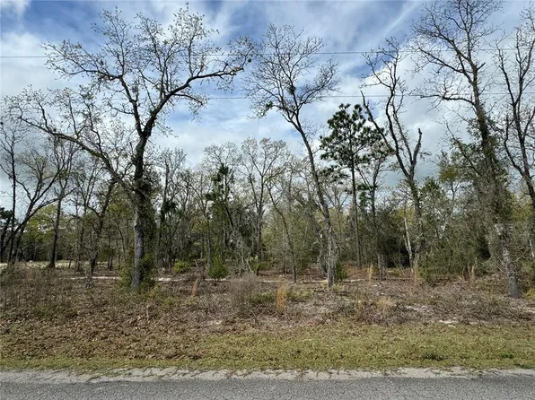 7 Guava Terrace Radl #7, Ocklawaha, FL 32179