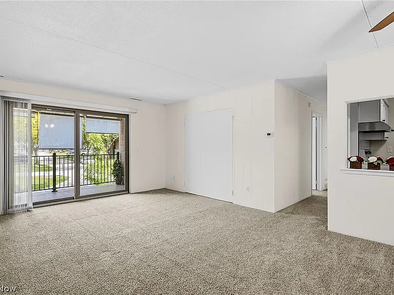 9956 Johnnycake Ridge Rd #N7 — Photo 11