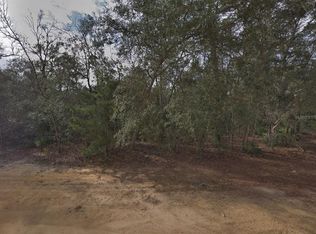 David Ave, Interlachen, FL 32148