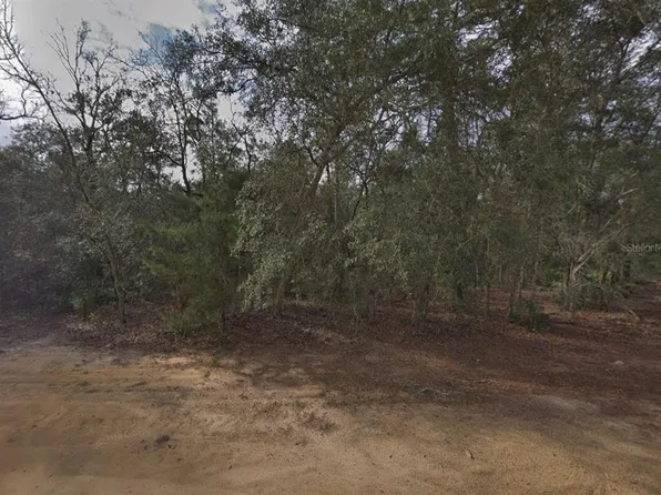 David Ave, Interlachen, FL 32148