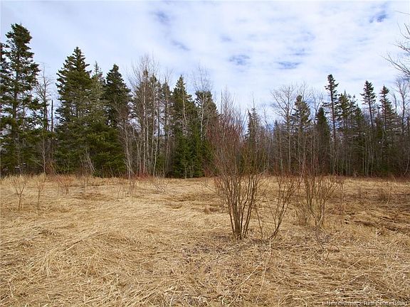 4th image of LOT Moore Rd